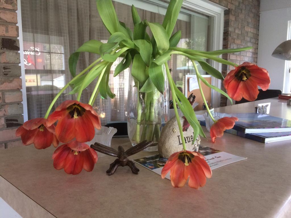 Cardinal Inn Maggie Valley Bagian luar foto